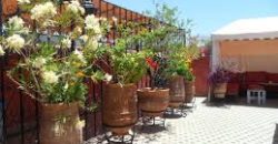 Riad au coeur de la Médina de Marrakech