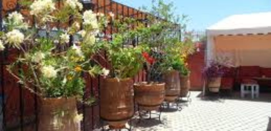 Riad au coeur de la Médina de Marrakech